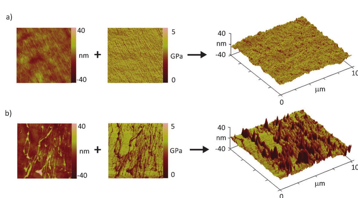 Modulus Map Afm (PDF) Material Transfer and Polarity Reversal in Contact Charging