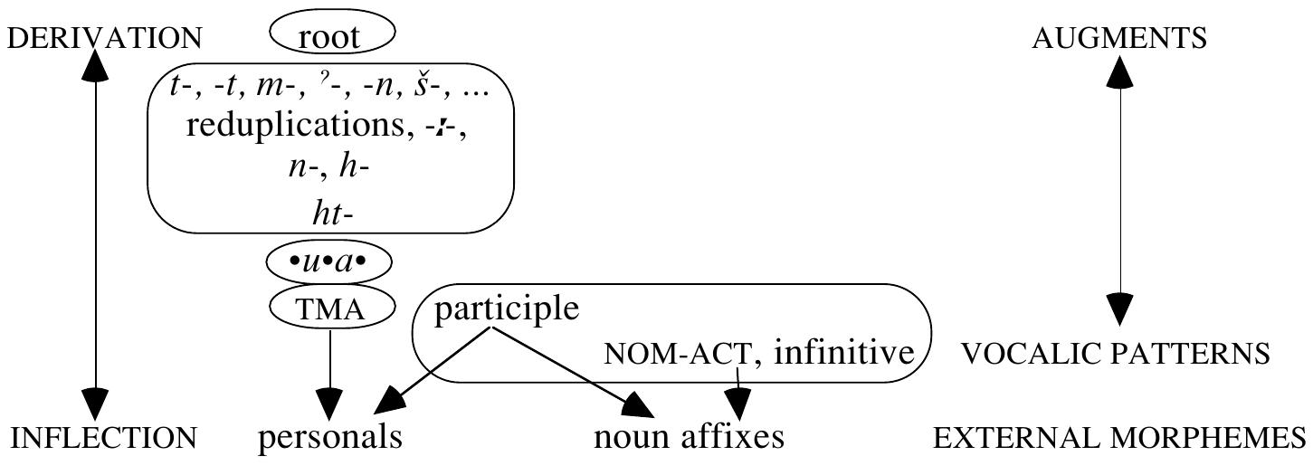A schematic representation of israeli hebrew verb formation
