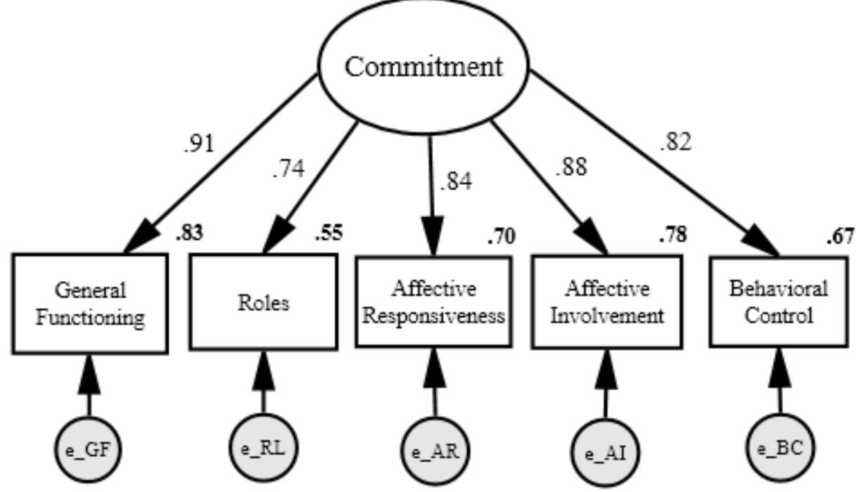 (PDF) Psychometric properties of a short version of the family ...