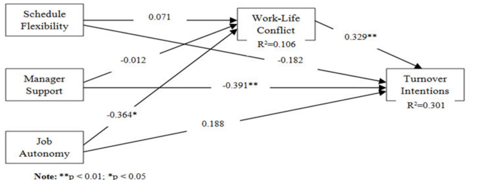 (PDF) The Influence of Work Life Balance on Turnover Intention in ...