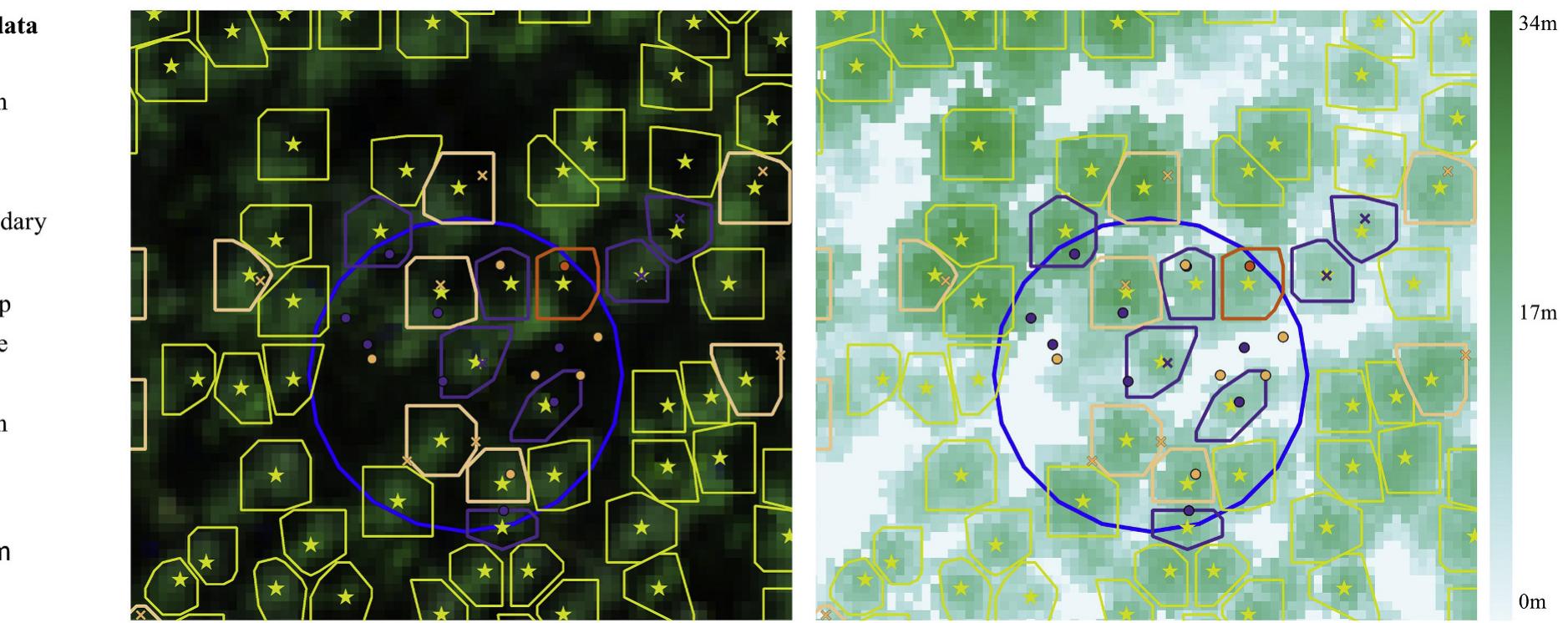(PDF) Tree species classification from airborne hyperspectral and LiDAR ...