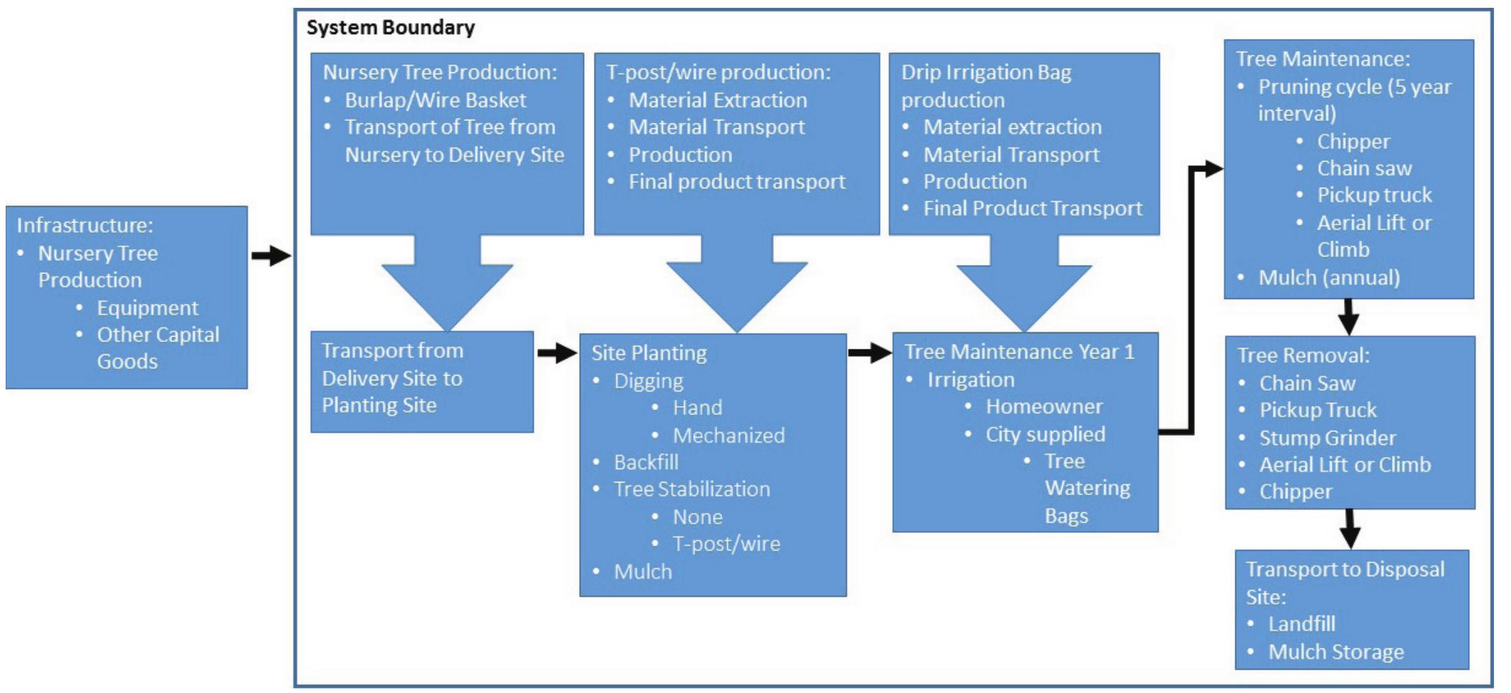Fig. 1. Cradle-to-grave Life Cycle Assessment System Boundary for A. rubrum. 