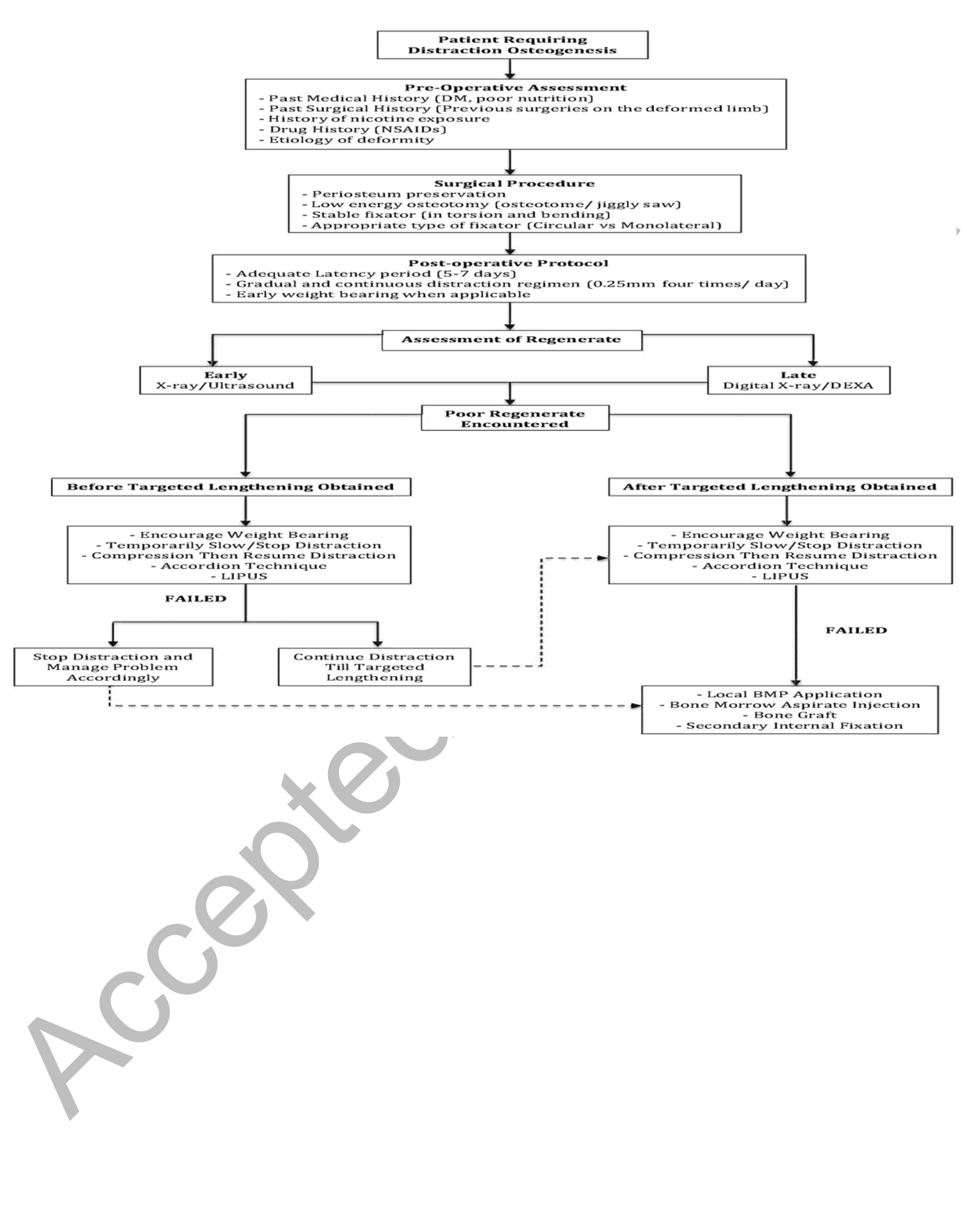 (PDF) Strategies of enhancing bone regenerate formation in distraction ...