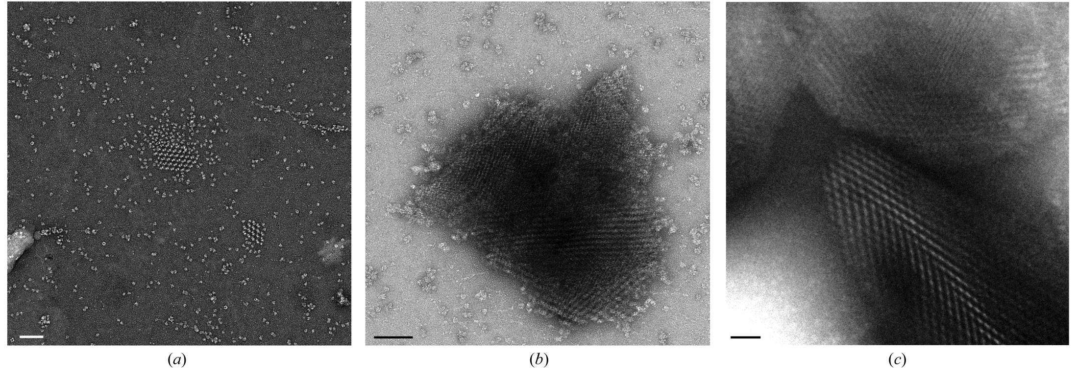 Crystal Fragmentation (PDF) Transmission electron microscopy for the evaluation and ...