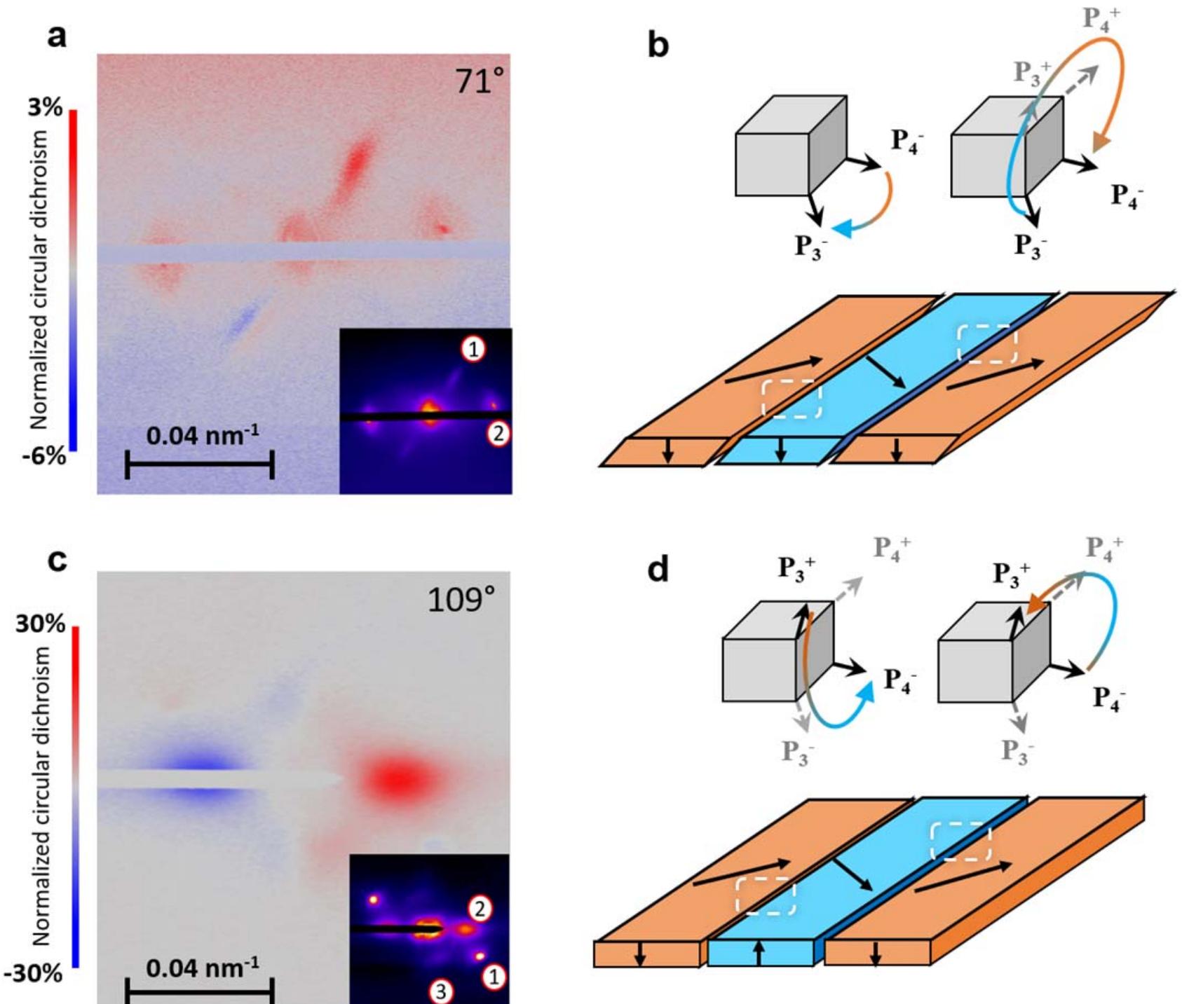 Demonstrating Diffraction (PDF) Electric and antiferromagnetic chiral textures at multiferroic ...
