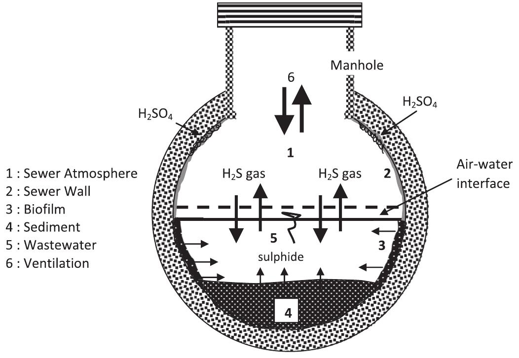 (PDF) Mitigation strategies of hydrogen sulphide emission in sewer ...