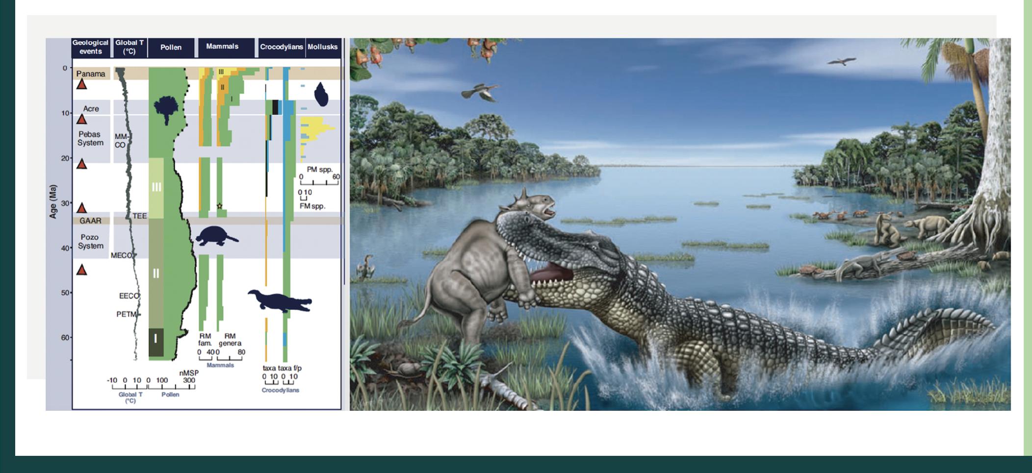 Trigodon (PDF) Evolution of Amazonian Biodiversity