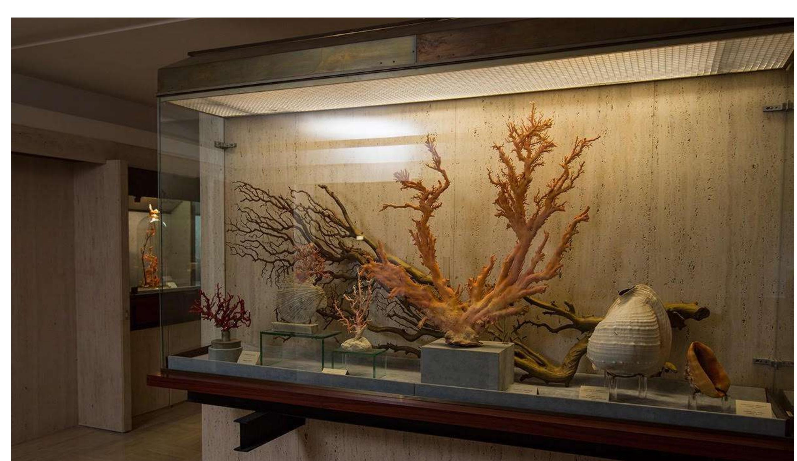 Fig 1 Collana tibetana, argento, turchesi e corallo - Secolo XIX lig 2 Prezioso portaprofumo cinese. Corallo cerasuolo, scuola di pechino, secolo XIX.  lag 3 Lazzaro nisorgi. Figure rappresentanti Lazzaro che ri- torna in vita con 5 colori di corallo asiatico (pelle d’angelo e cerasuolo), la base in quarzo alino e la sindone in oro. Incisore Carlo Parlati, montaggio Romolo Grassv.  lig 4 Collana trapanese con spilla del XVII secolo, lavorazione a placche. Minuziosamente restaurata nel 1990.  Fag5 Museo del corallo-collezione Liwerino. 