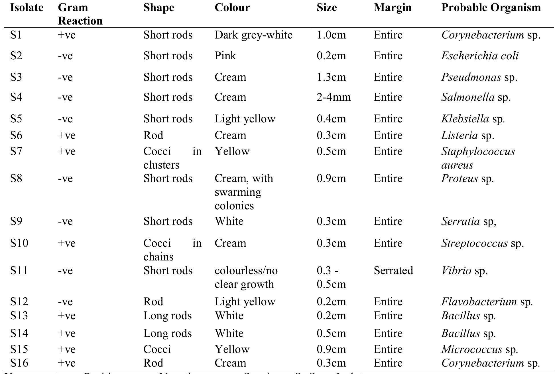 (PDF) CHARACTERIZATION AND IDENTIFICATION OF BACTERIAL ISOLATES FROM ...