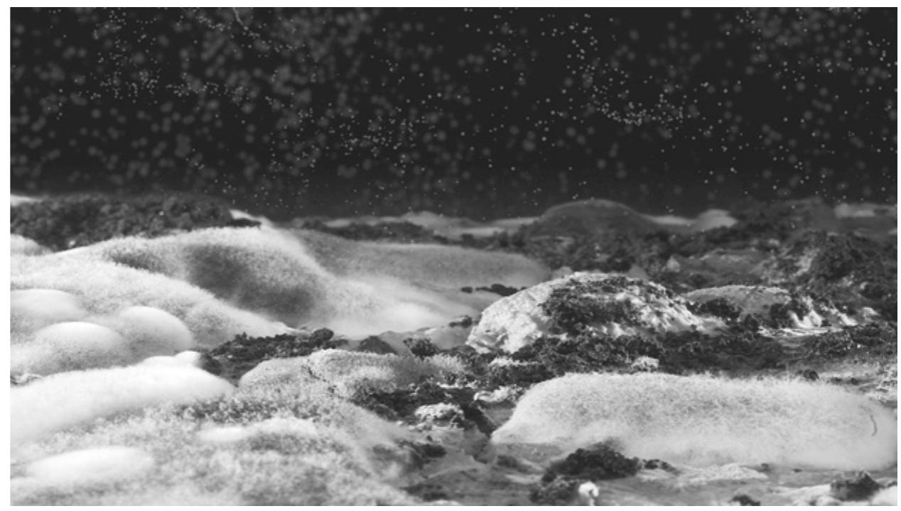 Figure 5.3. Frame from Planet Z (Momoko Seto, France, 2011). Copyright Momoko Seto. Courtesy of the artist. 