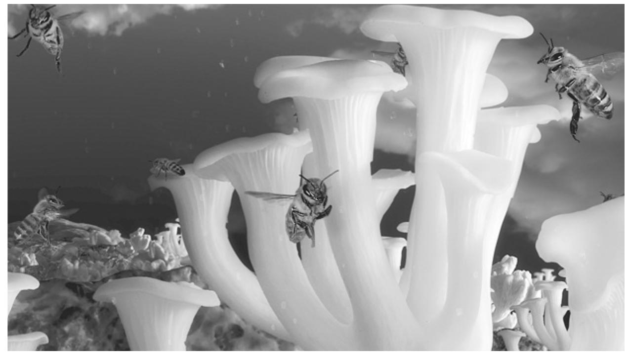 Figure 5.4. Frame from Planet X (Momoko Seto, France, 2014). Copyright Momoko Seto. Courtesy of the artist. 