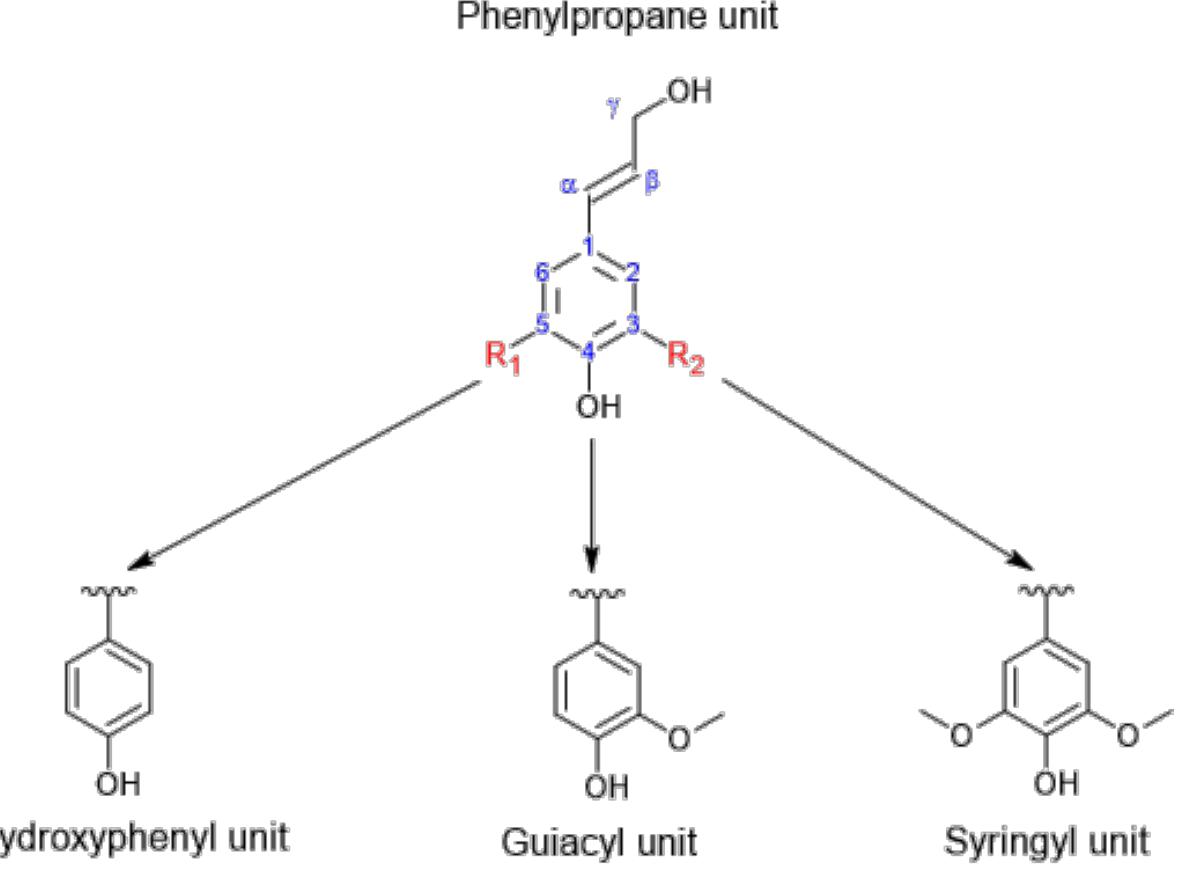 Figure 3 - from Lignin Modifications, Applications, and