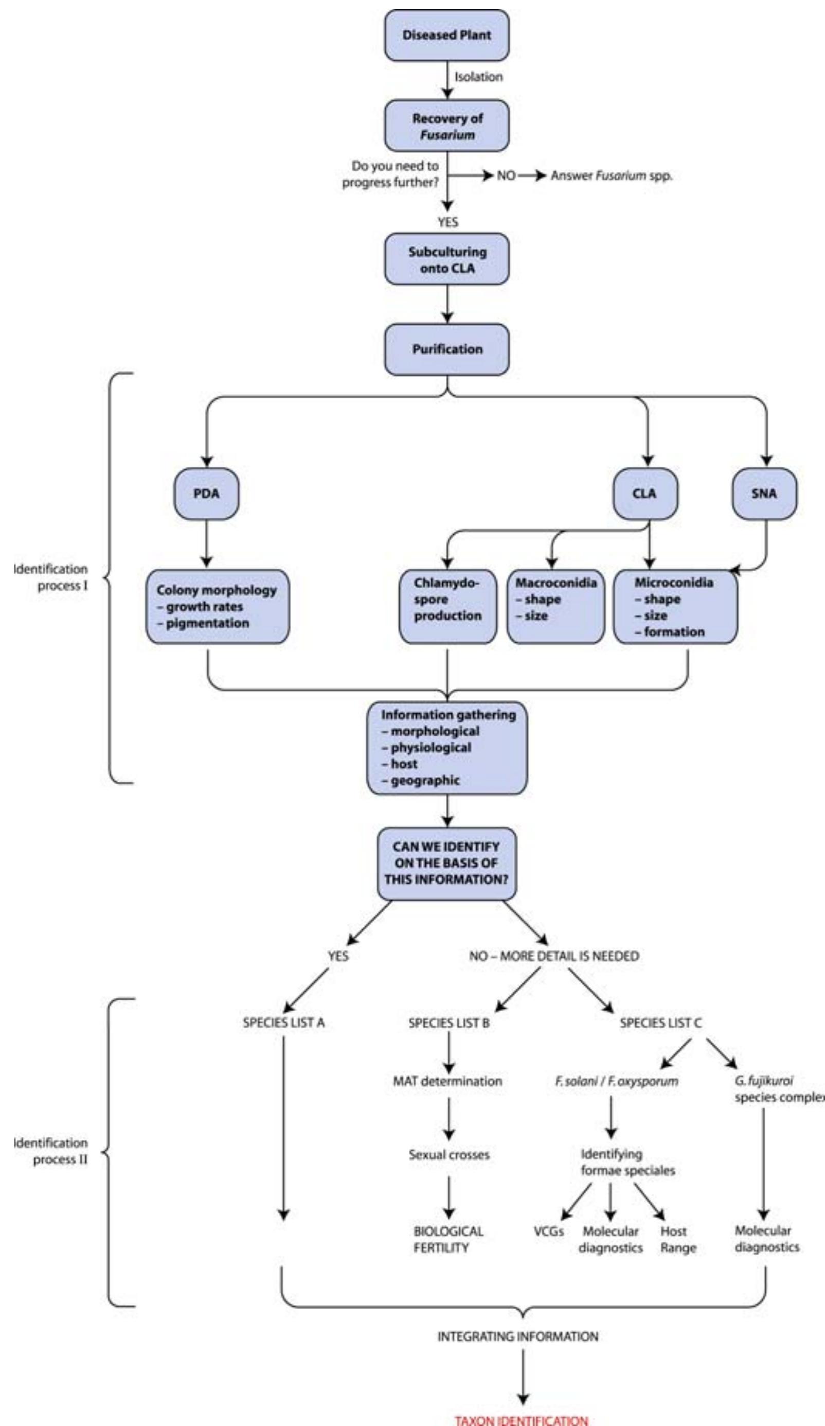 Flow chart of identification protocol used for identifying