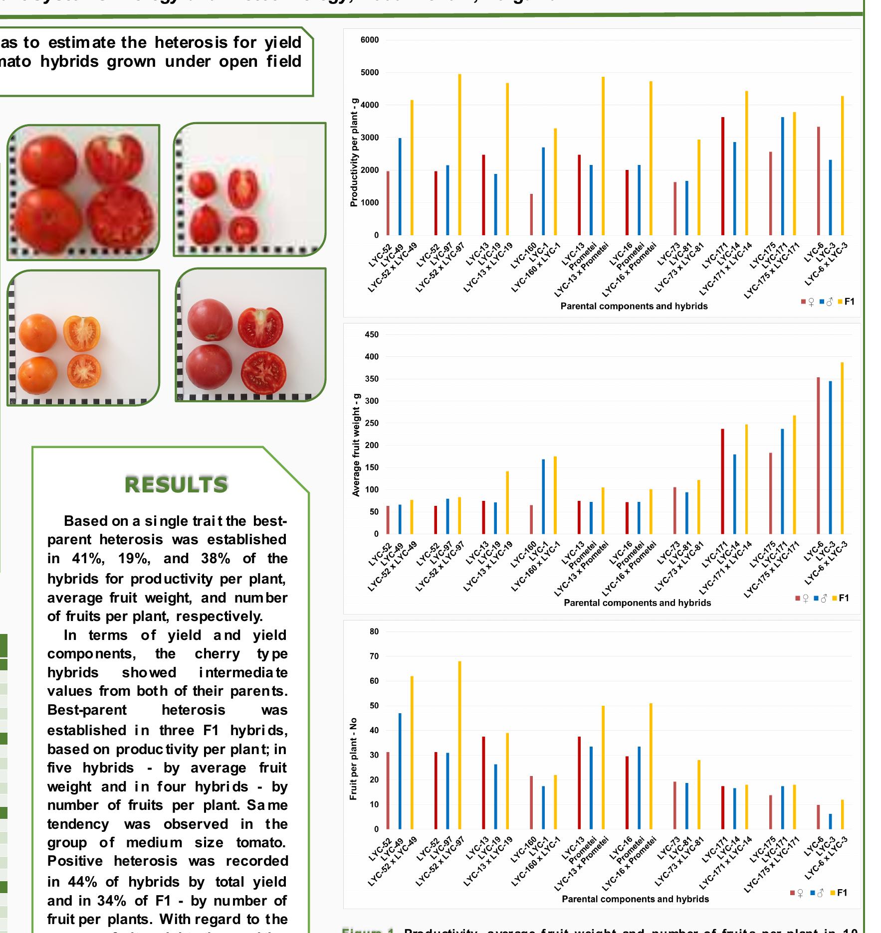 (PDF) Comparative evaluation of tomato hybrids for agronomic traits