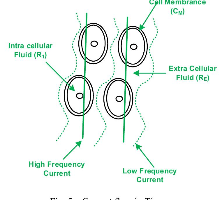 (PDF) A High-Performance Skin Impedance Measurement Circuit for ...