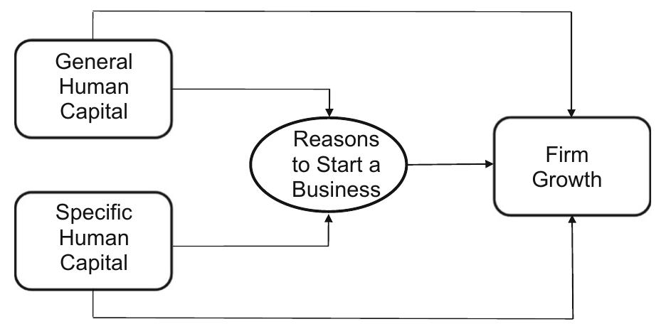 (PDF) Human capital and SME growth: the mediating role of reasons to ...