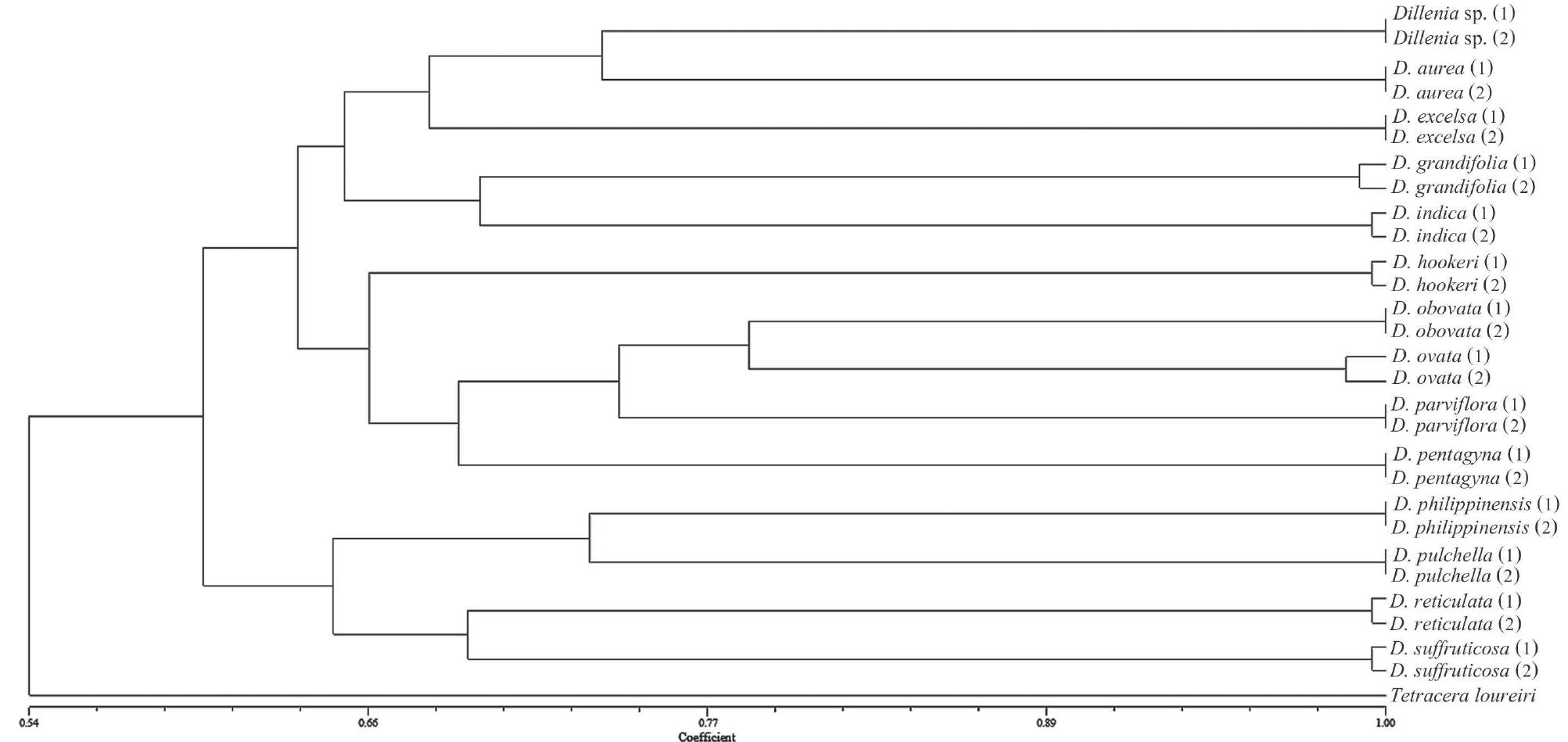 (PDF) DNA profiles to identify Dillenia species (Dilleniaceae) in Thailand
