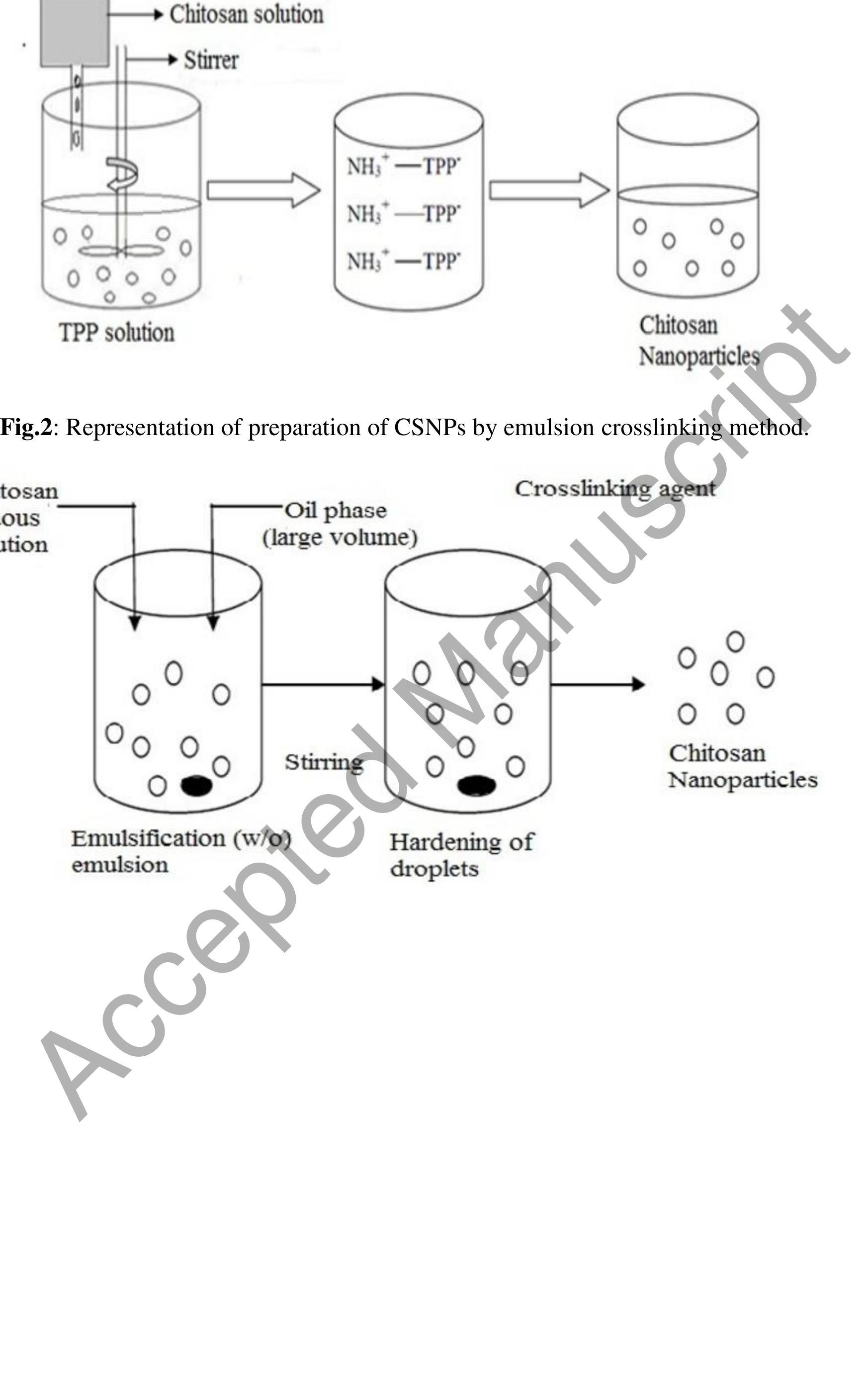 Figure 1 - from Chitosan-based nanoparticles as drug