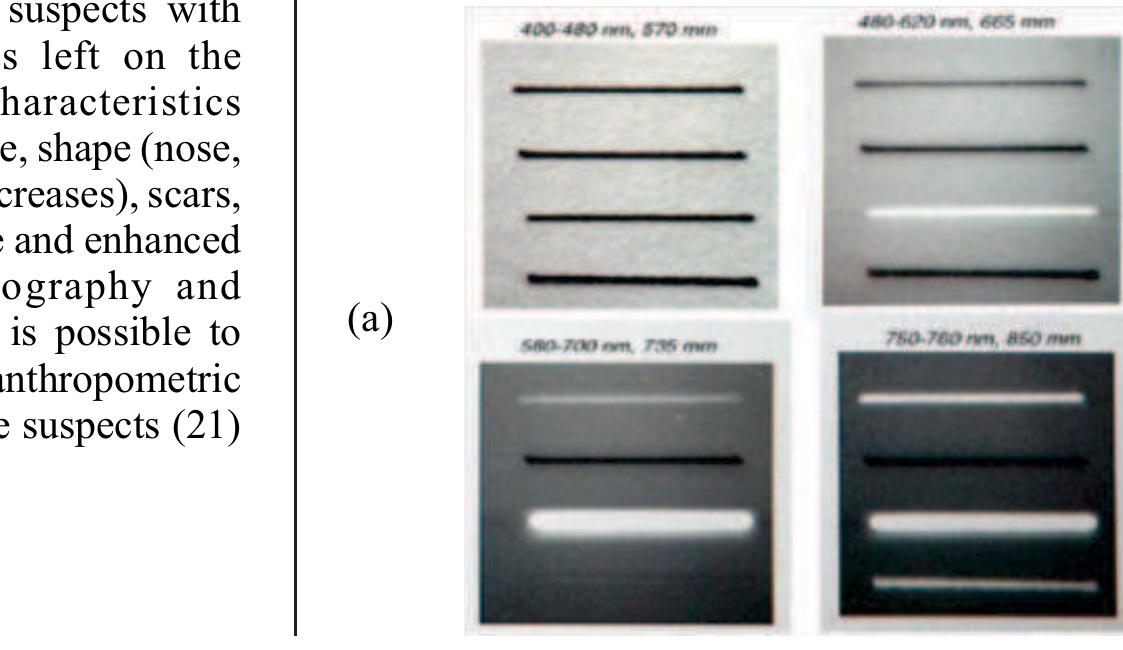 Forensic Light Source Ranges Chart (PDF) Forensic Photography: A Visual and Legal Record of Crime Scene