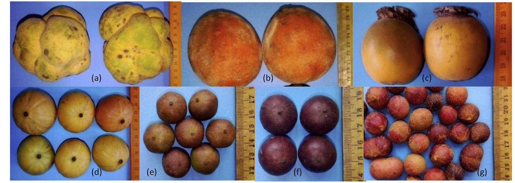 (PDF) Biochemical properties of some important underutilized minor fruits