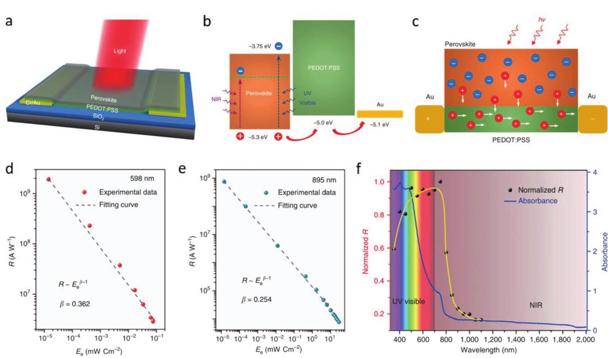 (PDF) Perovskite‐Based Phototransistors and Hybrid Photodetectors