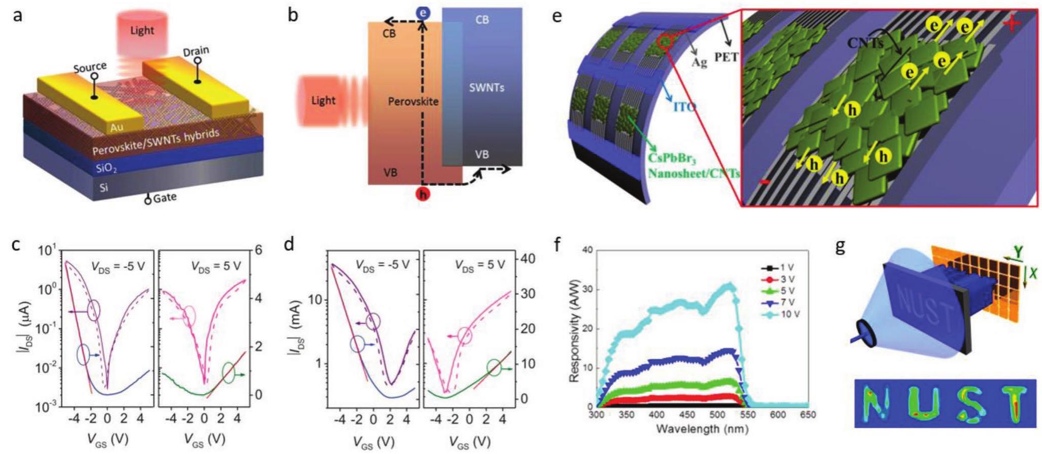 (PDF) Perovskite‐Based Phototransistors and Hybrid Photodetectors
