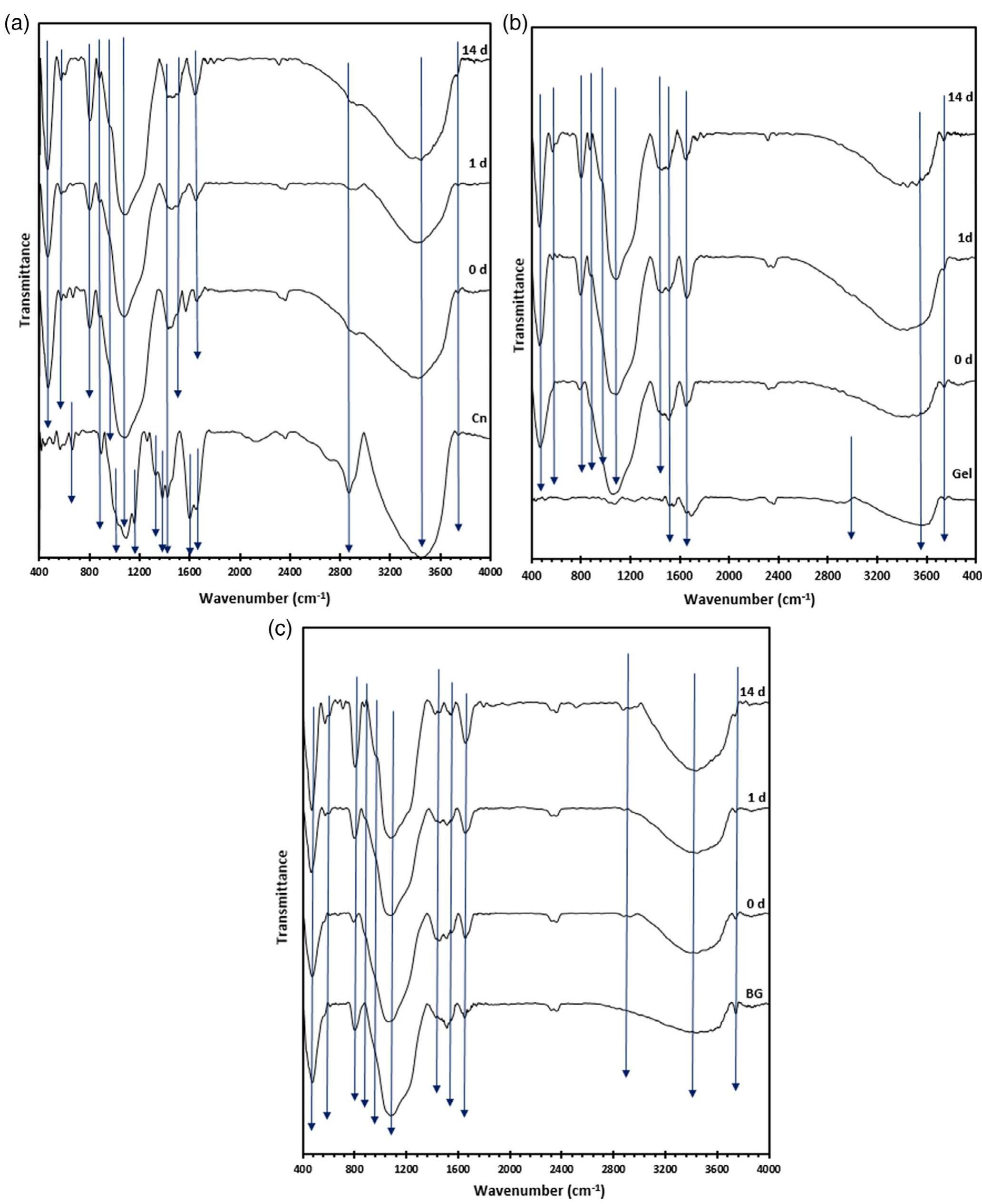 The fourier transform infrared spectra of pastes bg-cn (a)