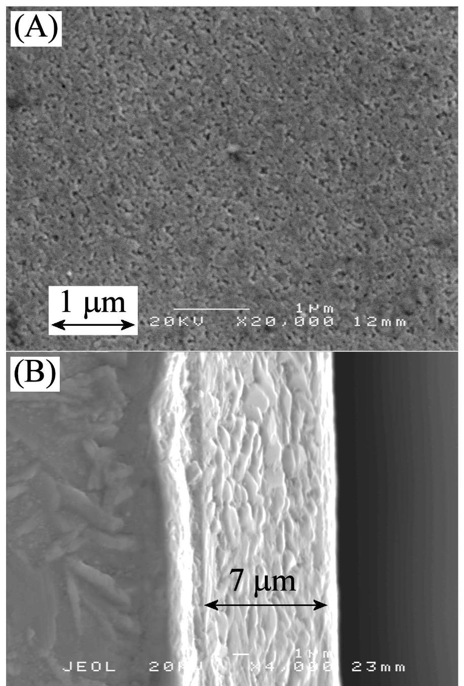 Pyrobitumen Sem 2. sem images for a spray-pyrolysis film on a fto substrate.