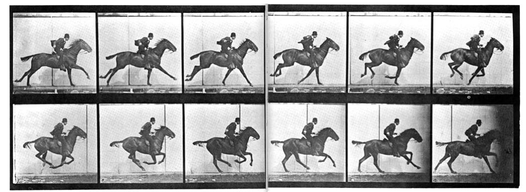 Regalo Creativo Originale Flipbook Muybridge Horse Fliptomania