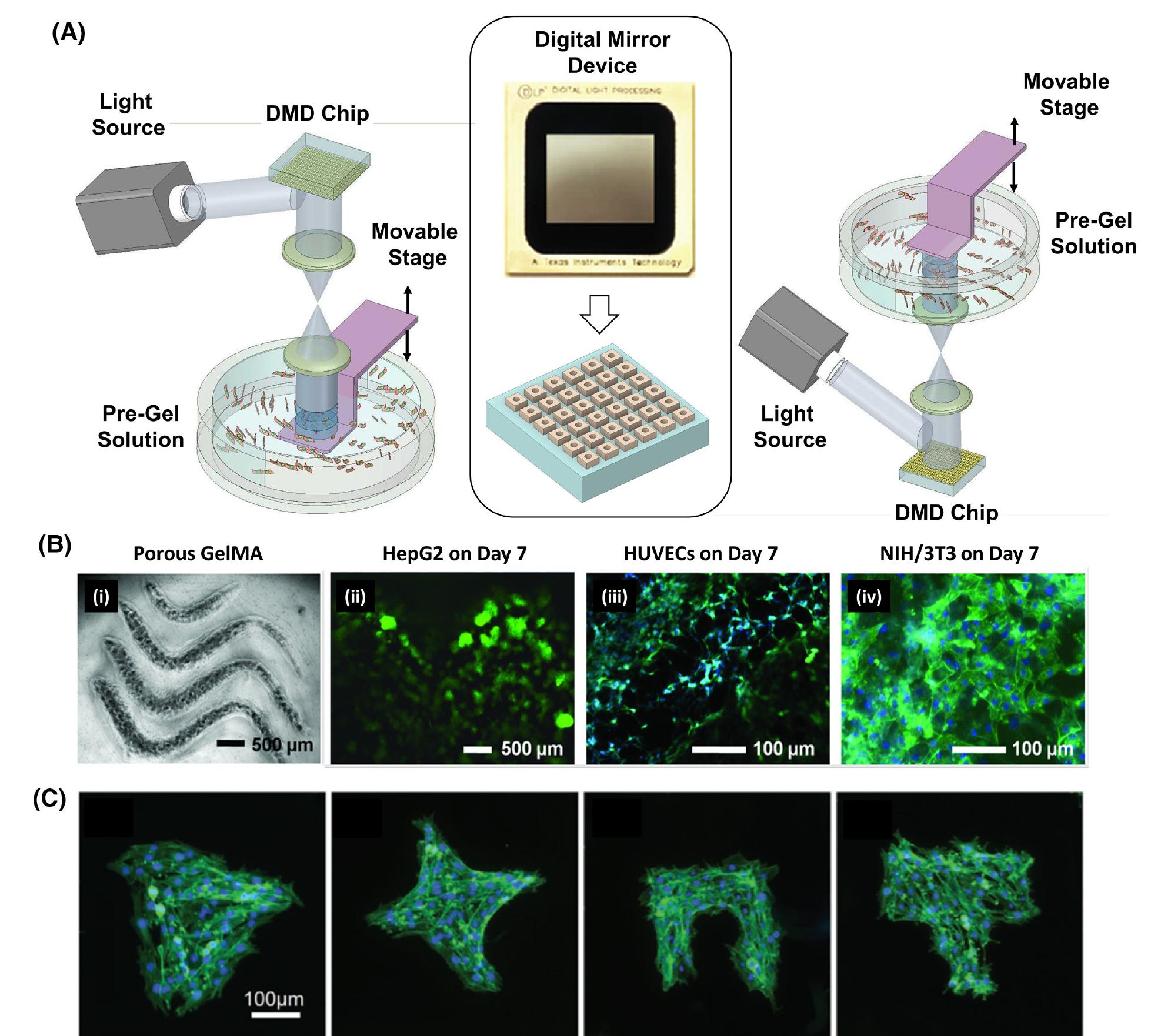 Figure 7 - from Advances in microfabrication technologies in
