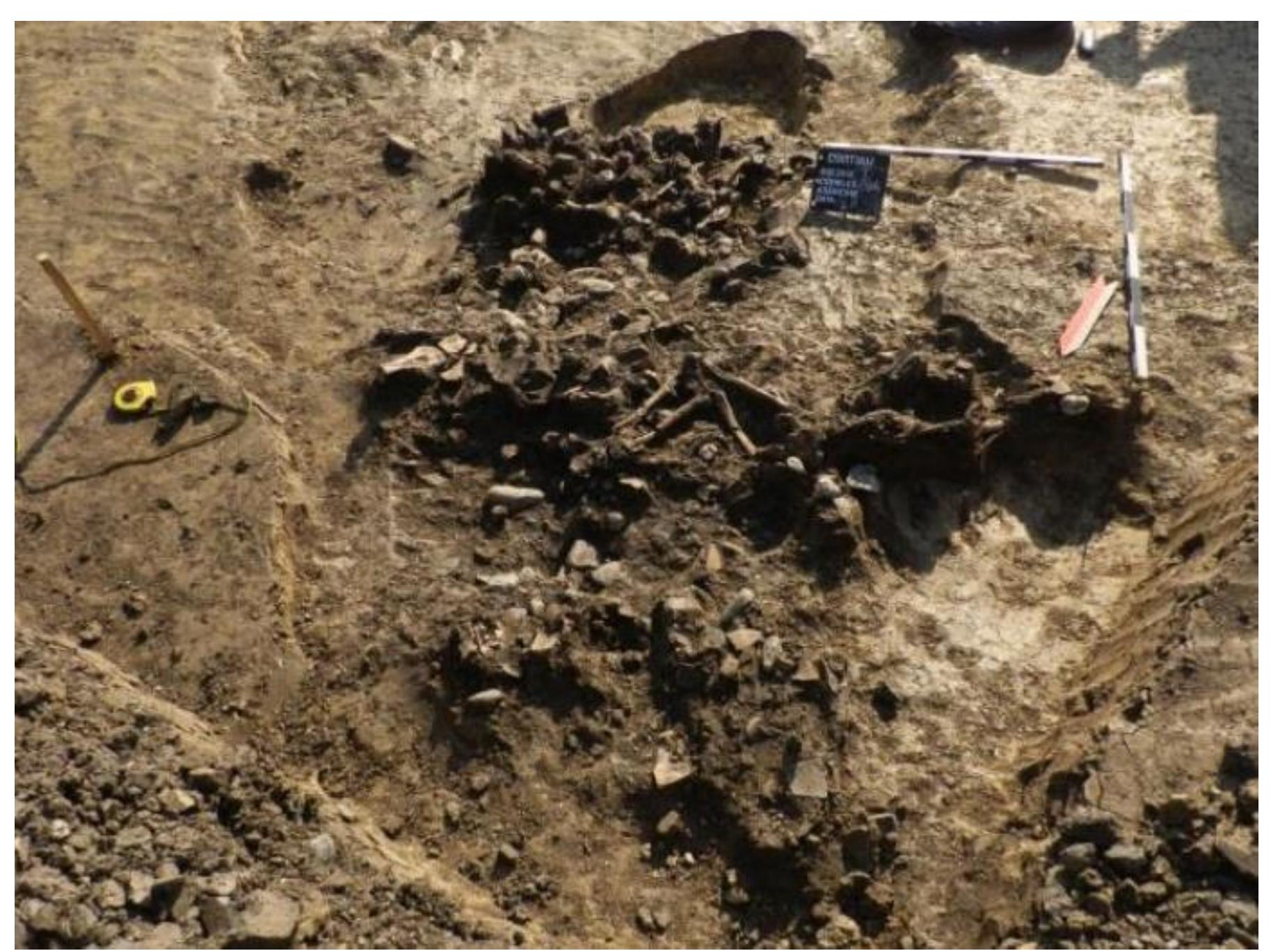 Photo 3. Cristian I, Sibiu county grave M3 (Apud Luca 2015, p. 200).  Radiocarbon Data Acquired in 2021 for Archaeological Researches Made under the Aegis of Brukenthal National Museum 