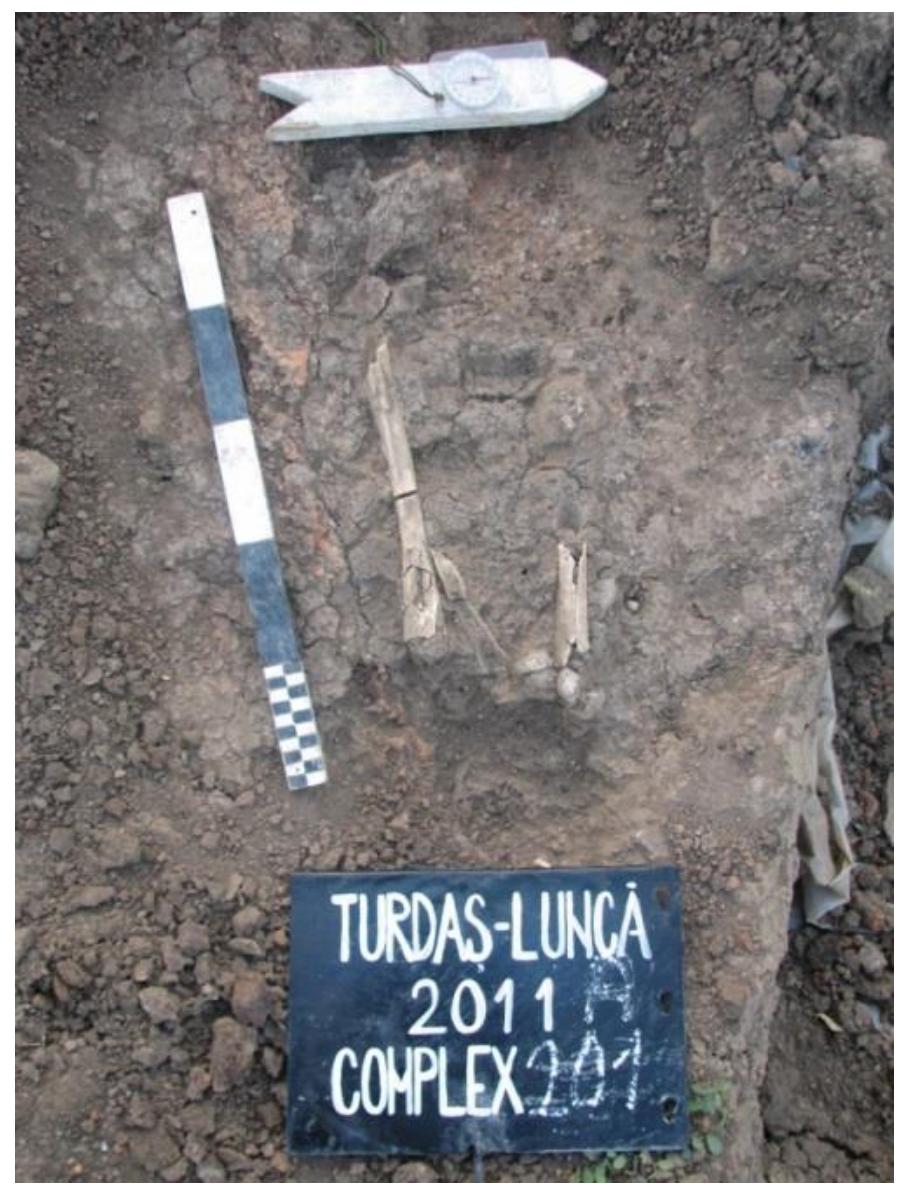 Photo 5. Turdas-Lunca 2011. Complex 201A.  Photo 4. Turdas-Luncd 2018-2019. Complex M1/2018-2019. 