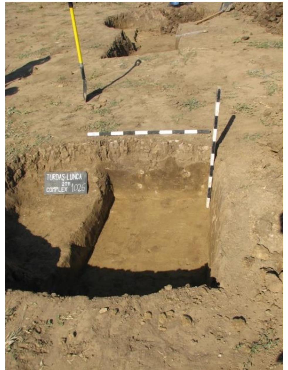 Photo 6. Turdas-Lunca 2011. Complex 1043. Vedere dinspre complexul 1026. 