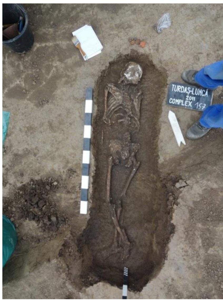 Photo 8. Turdas-Lunca 2011. Complex 157. 