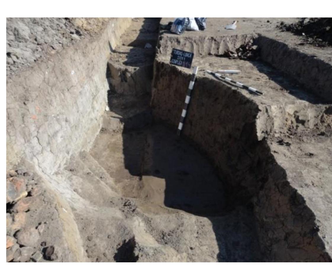 Photo 9. Turdas-Luncd 2011. Complex 1814. 