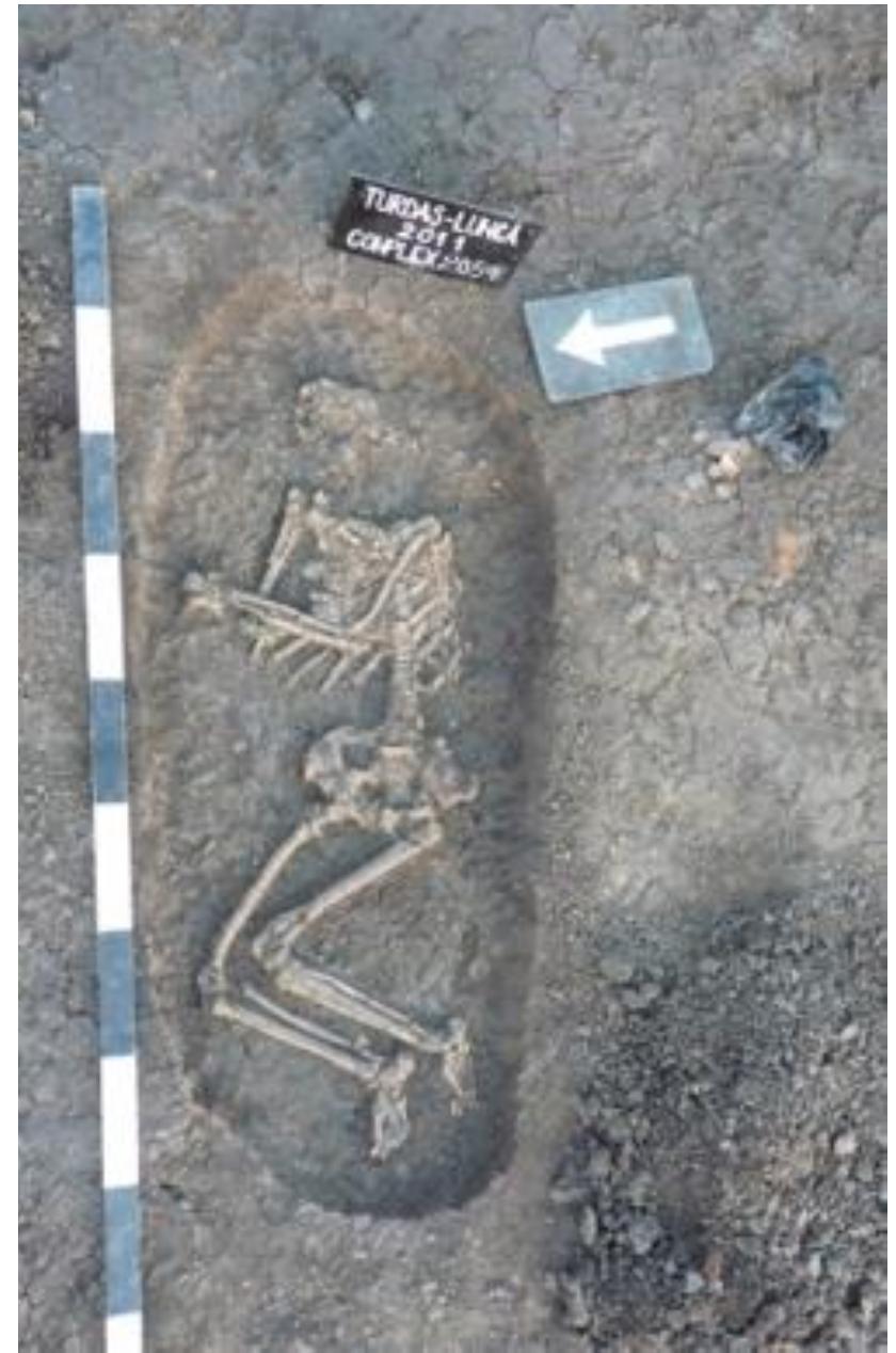 Photo 7. Turdas-Luncd 2011. Complex 2054. 