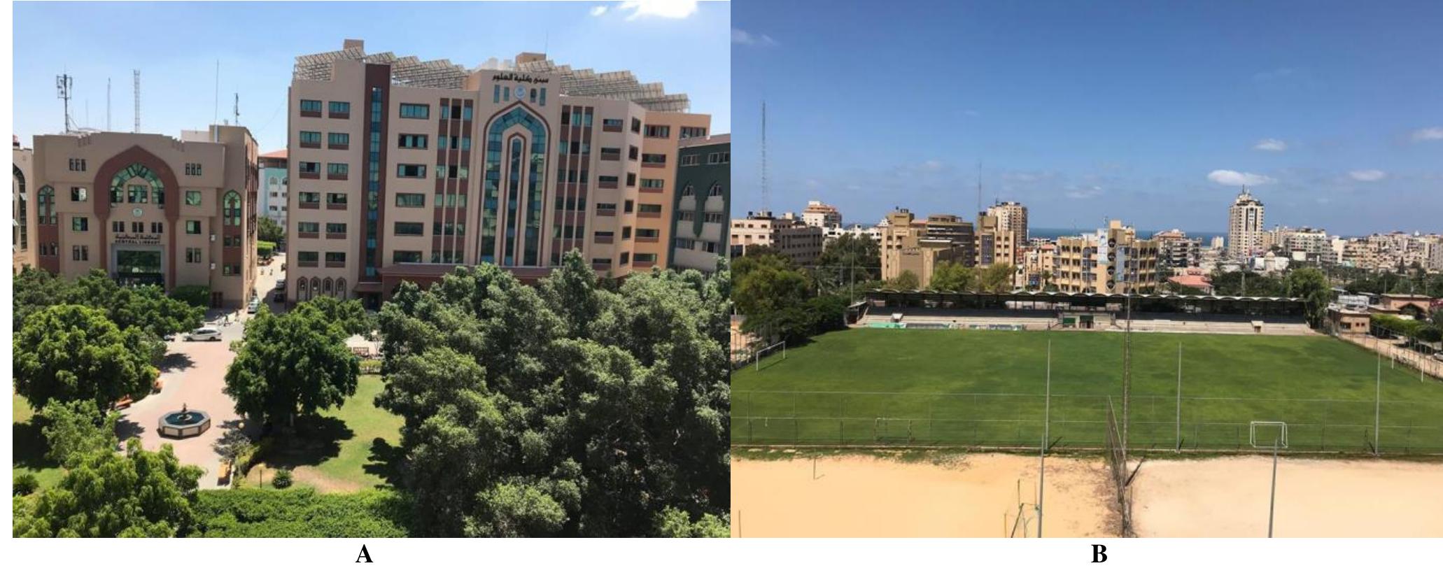 (PDF) Bird fauna encountered at the main campus of the Islamic ...