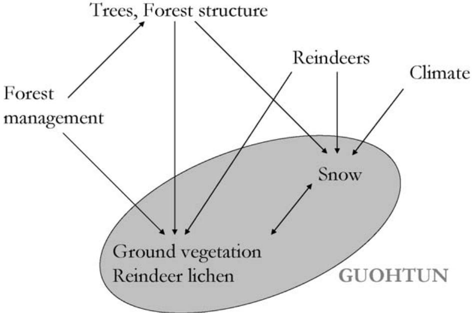 (PDF) Of forest, snow and lichen: Sámi reindeer herders’ knowledge of ...