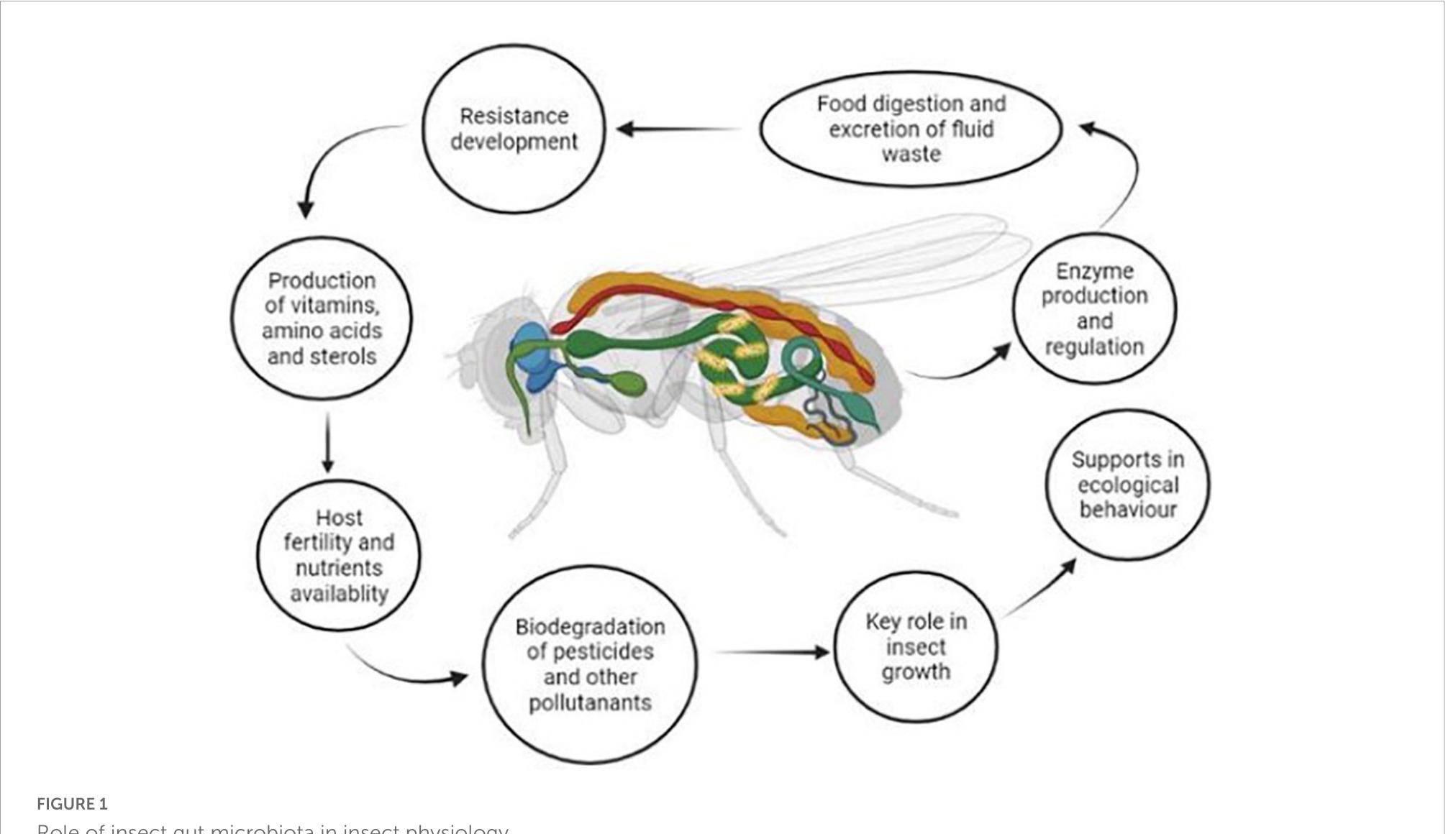 (PDF) Contribution of insect gut microbiota and their associated ...