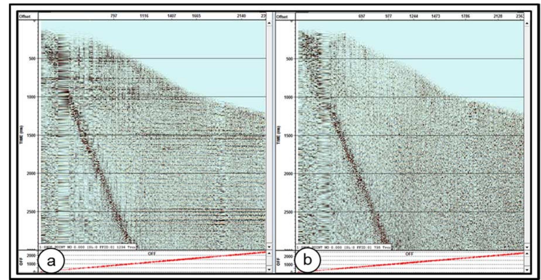 (PDF) Improving seismic data quality by reprocessing and redesign of a ...