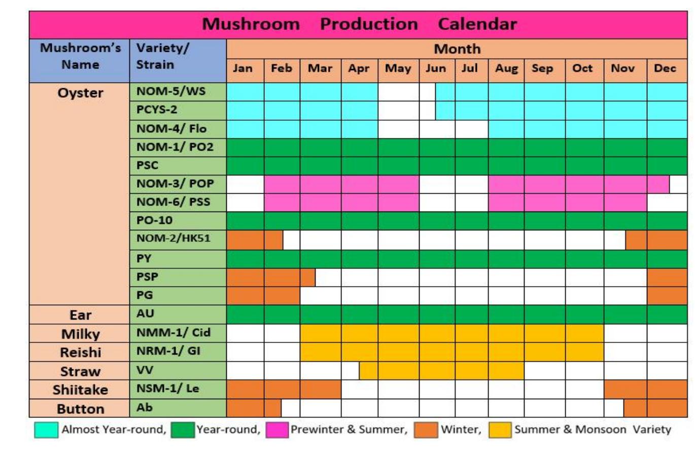 mushroom-production-calendar-of-bangladesh