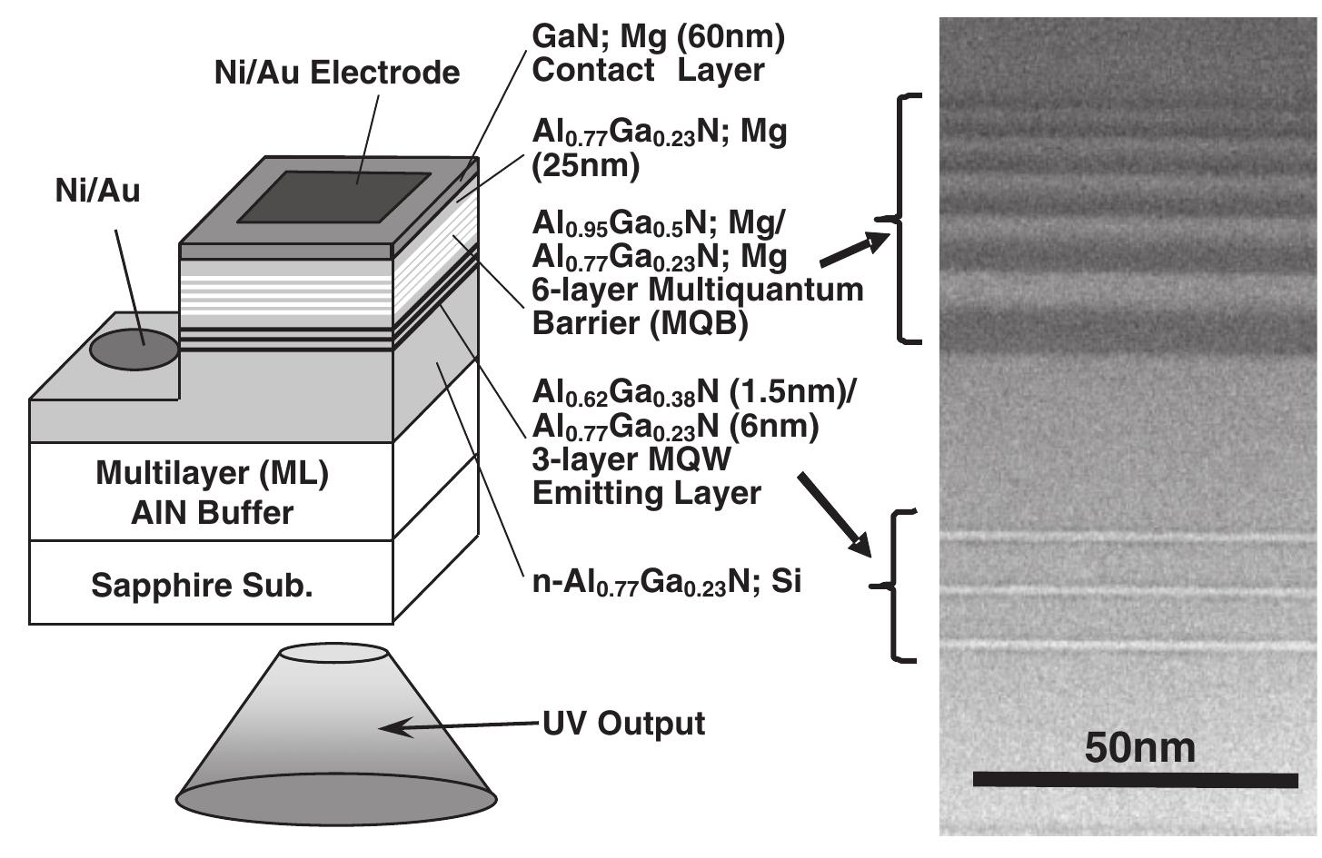 Schematic structure and cross-sectional tem image of a