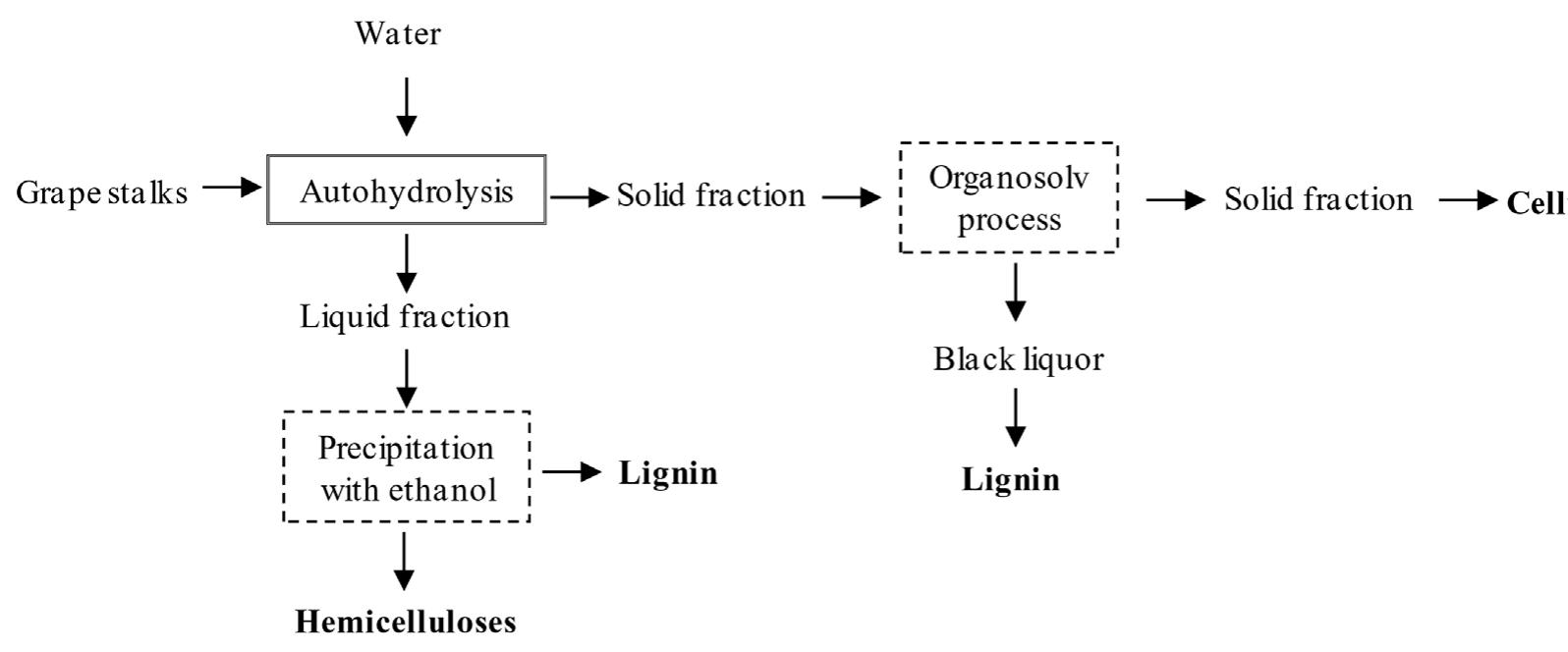 (PDF) The Biorefinery Concept for the Industrial Valorization of Grape ...