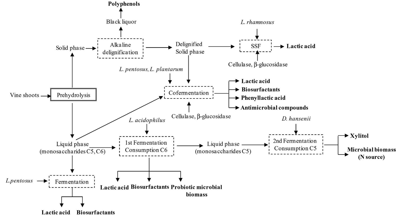(PDF) The Biorefinery Concept for the Industrial Valorization of Grape ...