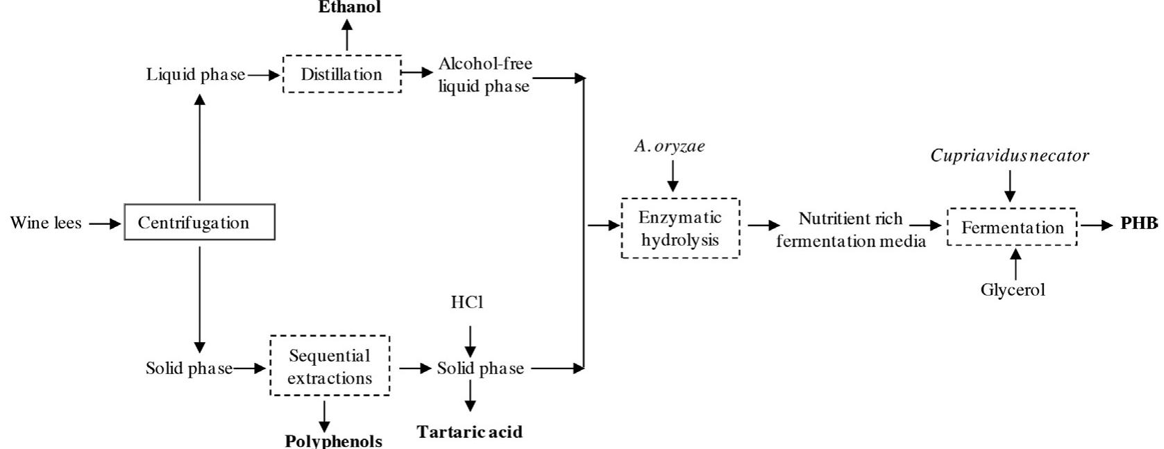 (PDF) The Biorefinery Concept for the Industrial Valorization of Grape ...