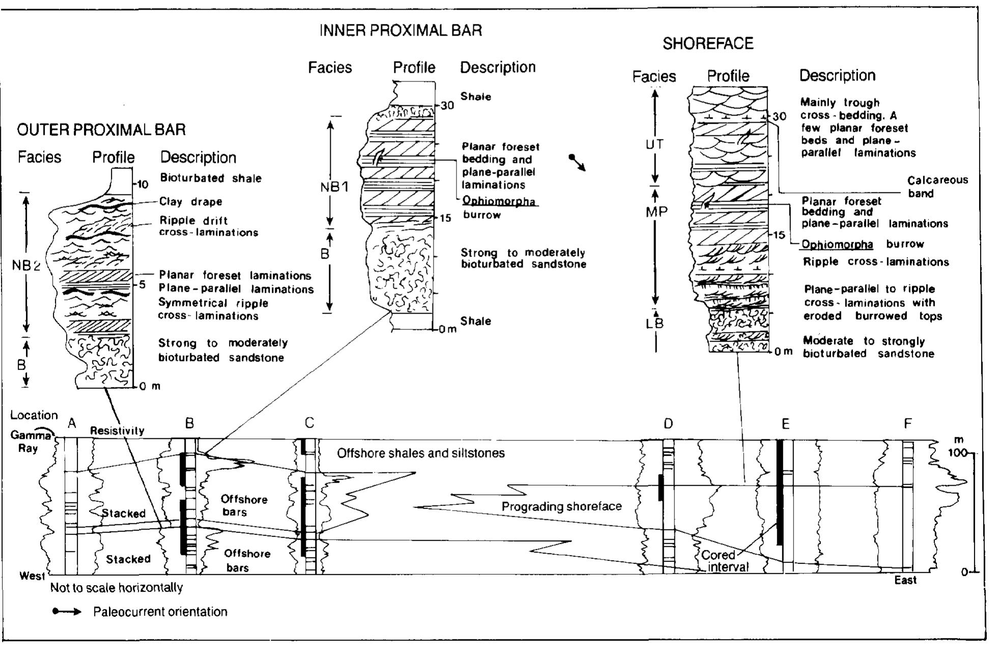 (PDF) Depositional Model of a Miocene Barred Wave- and Storm-Dominated ...