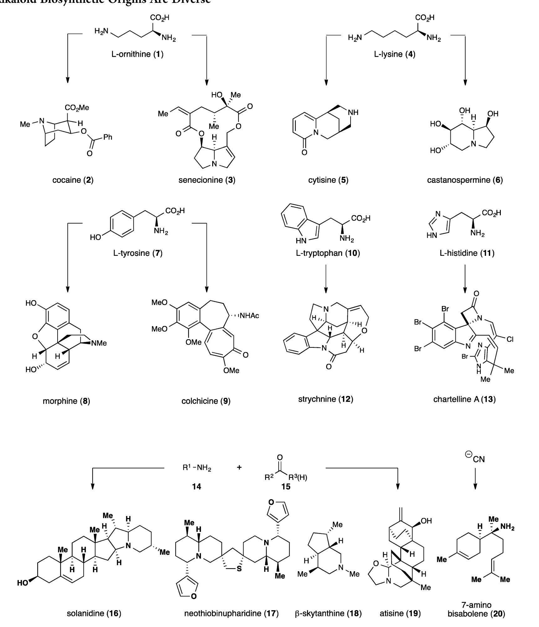 Reactivity patterns. appropriate to the reactivity-based