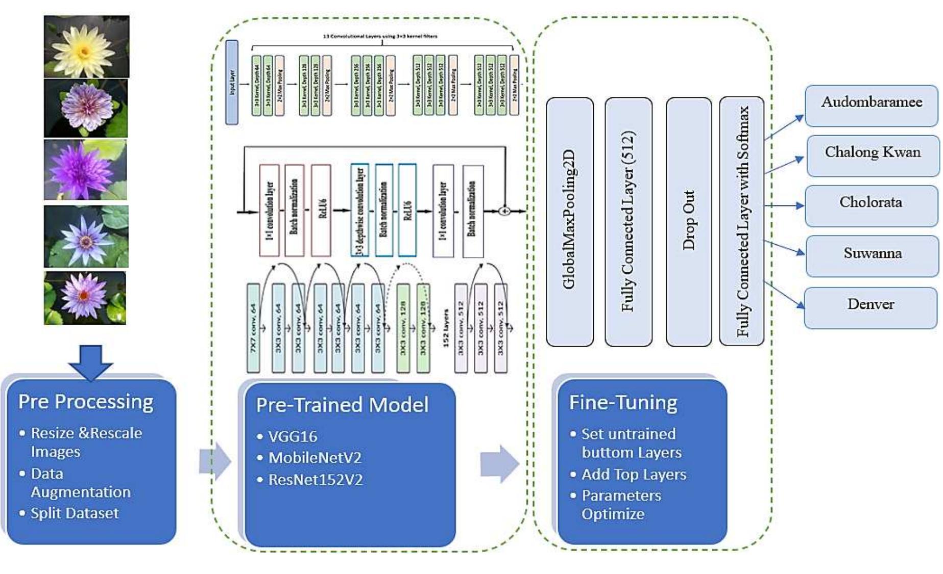 (PDF) Lotus species classification using transfer learning based on ...