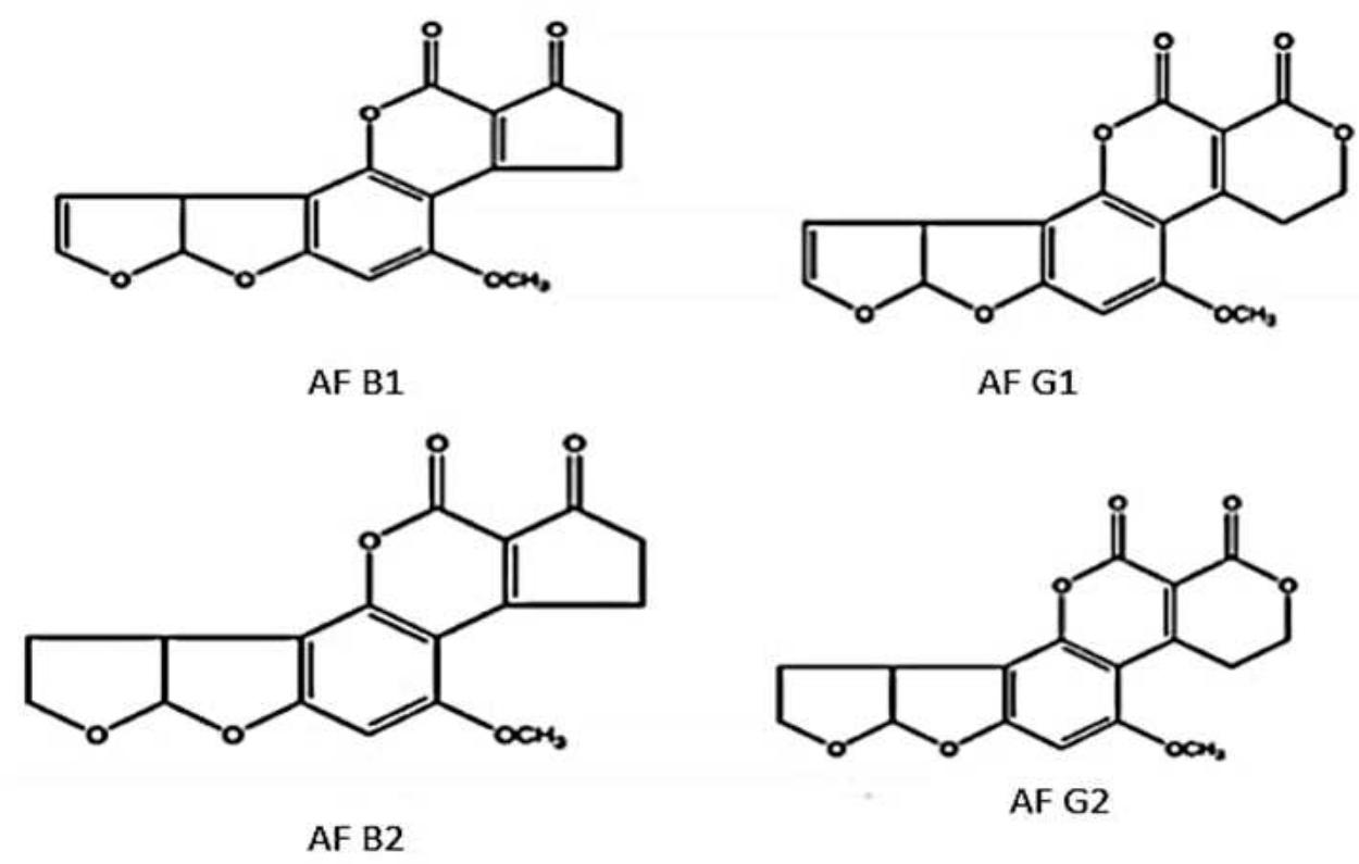 Structures Afg (PDF) RISKS OF CHEMICAL CONTAMINATION IN MILK AND ITS DERIVATIVES