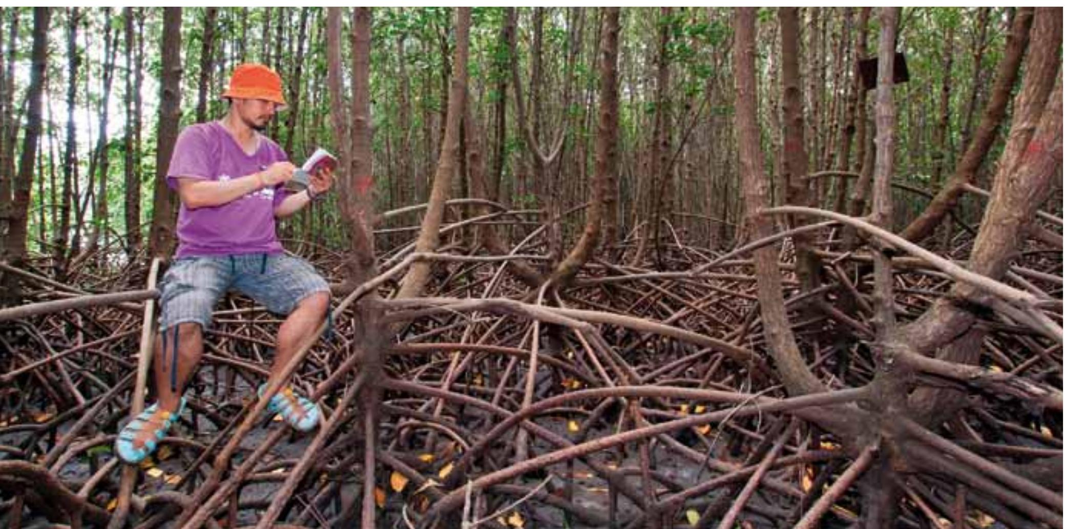 (PDF) Protected Planet Report 2014: Tracking progress towards global ...
